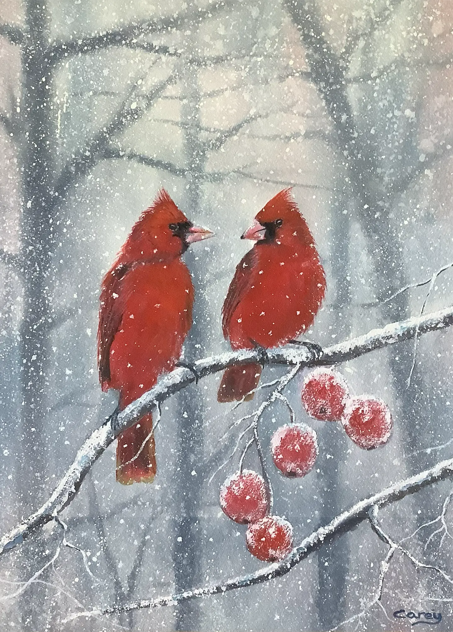 Cardinals in Winter