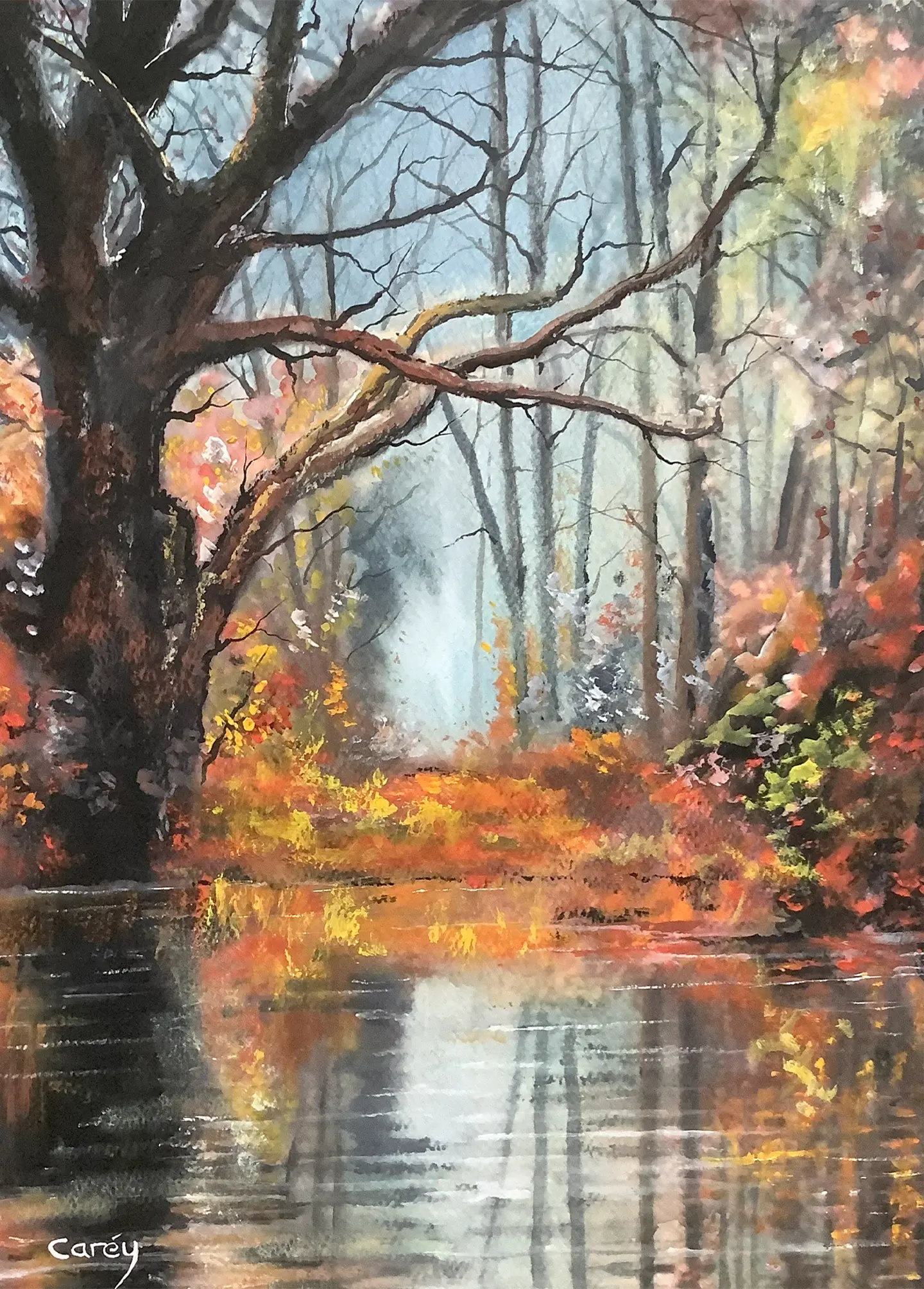 Autumn Colours