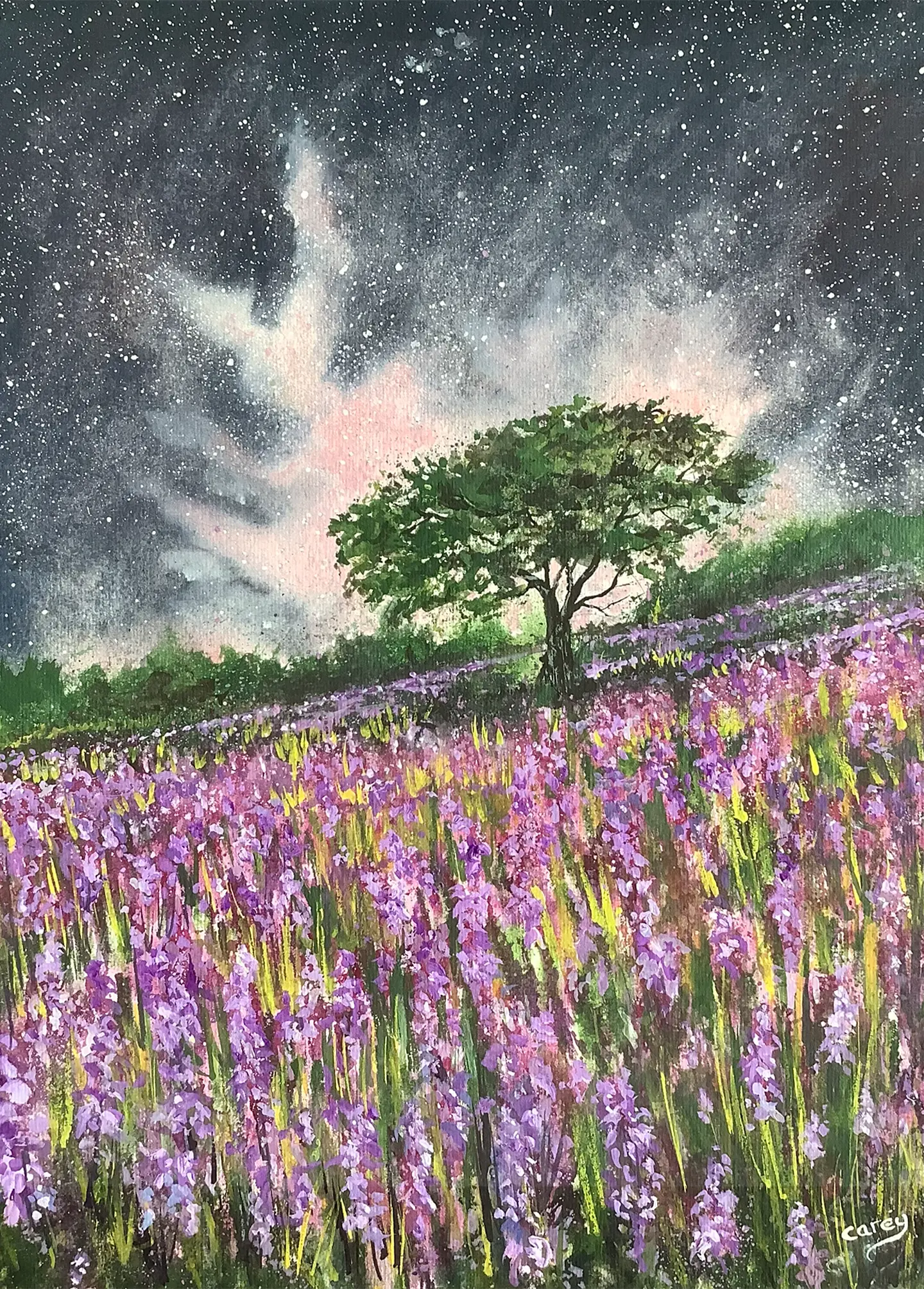 Bluebell’s under a dramatic sky