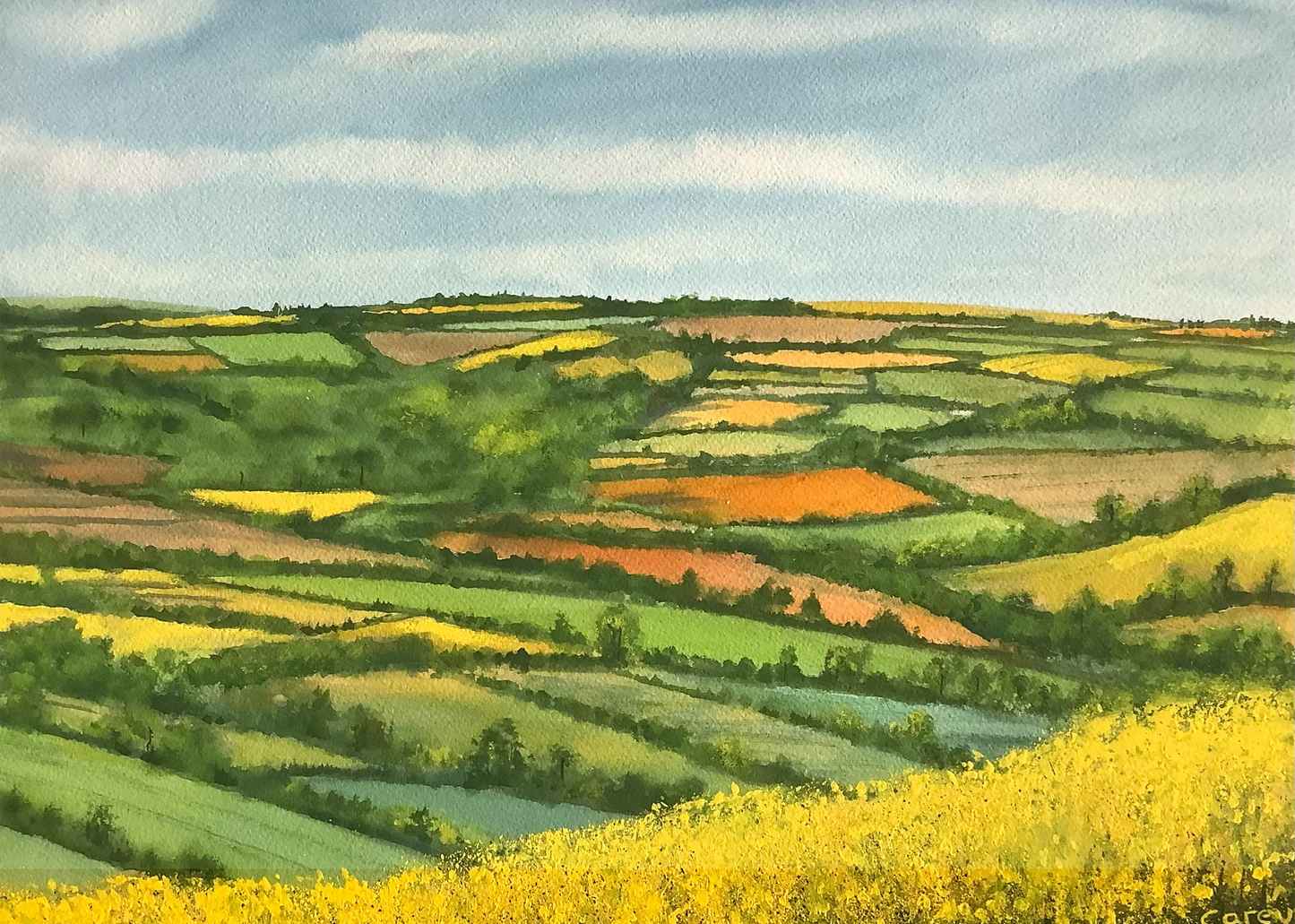 Devon Landscape