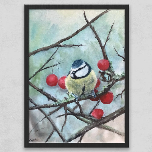 Eurasian Blue tit Perched in a Cherry Tree