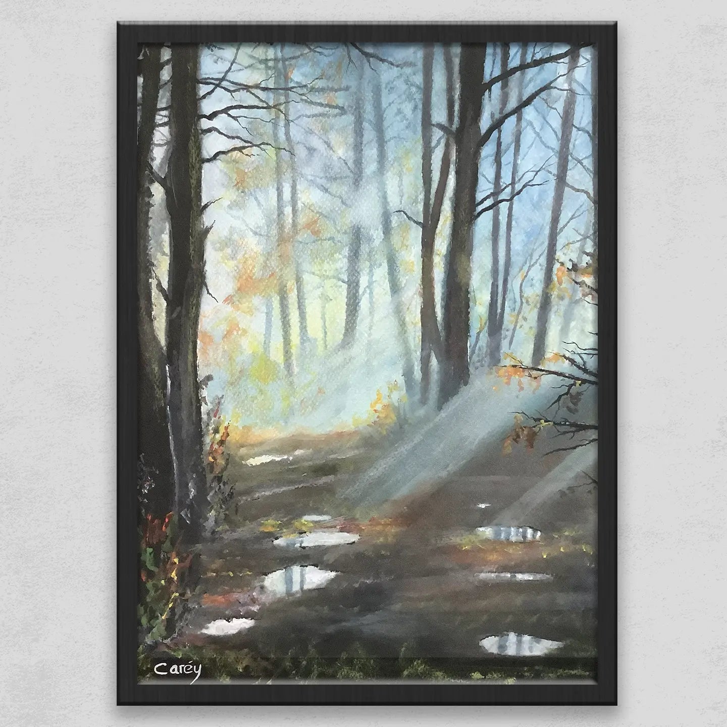Forest Light