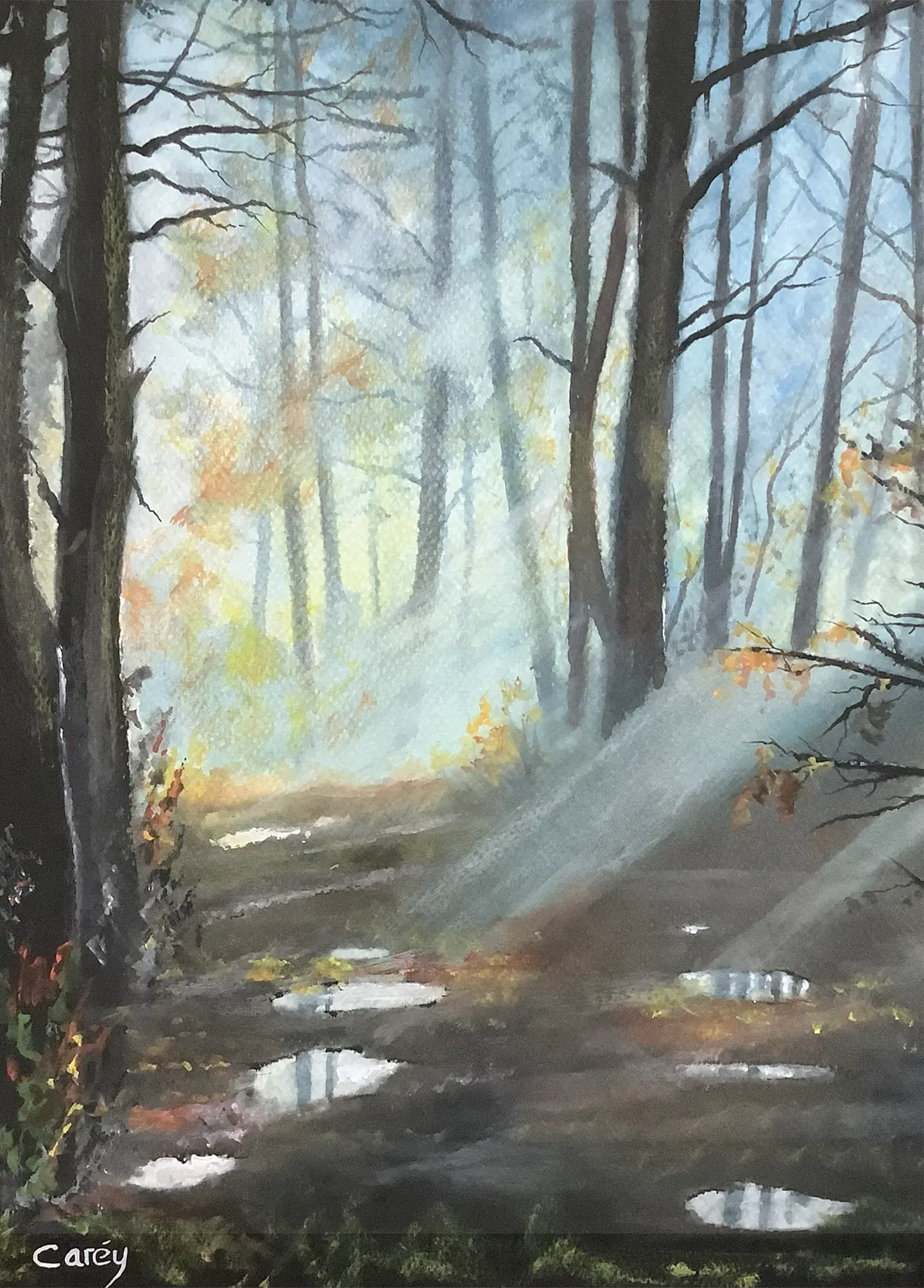 Forest Light