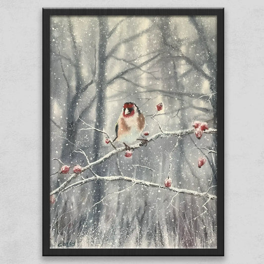 Goldfinch in Winter