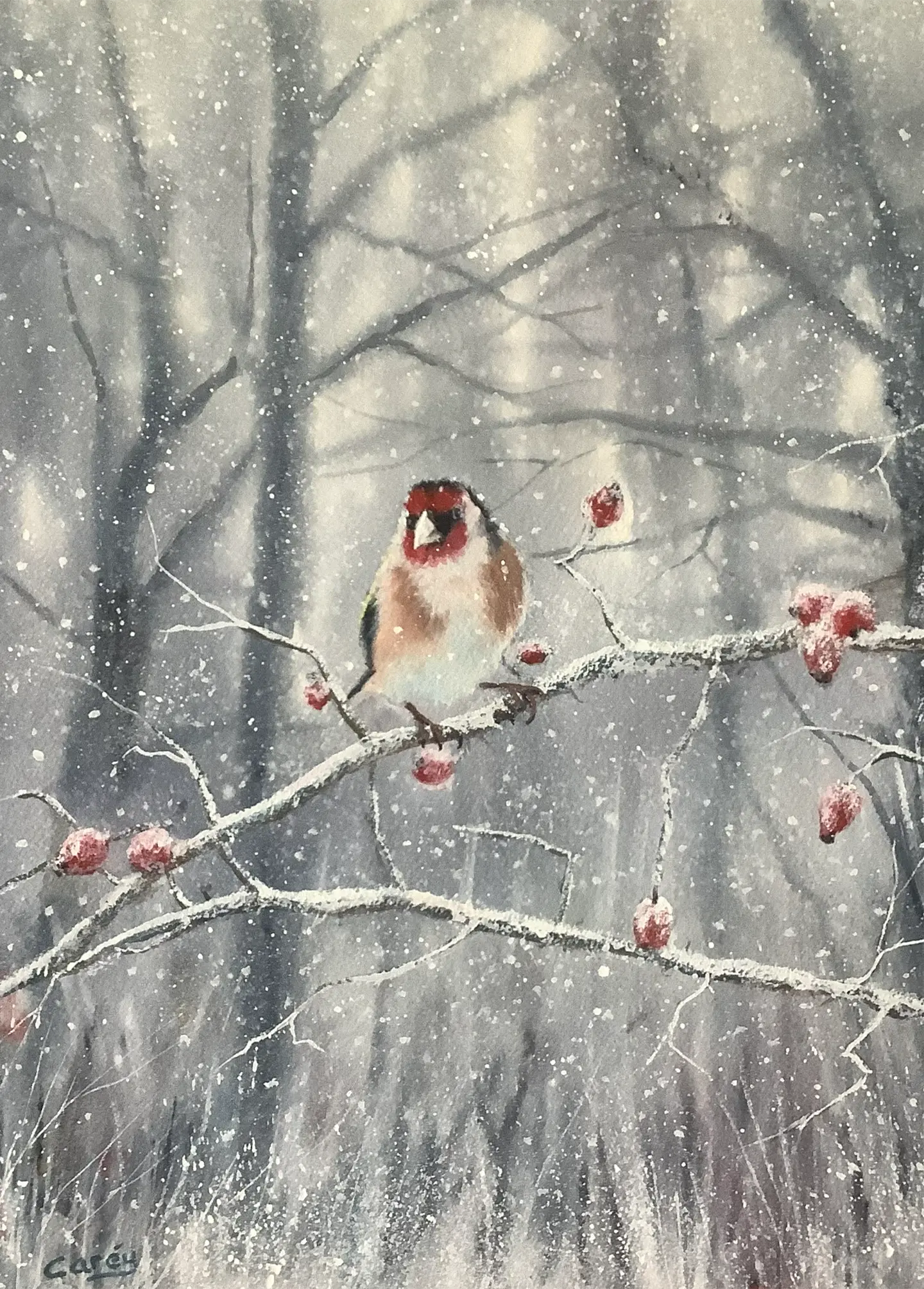 Goldfinch in Winter