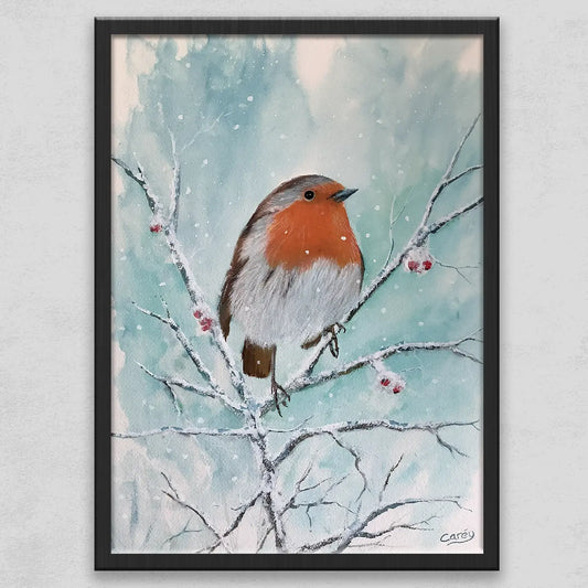 Robin in winter snow with red berries