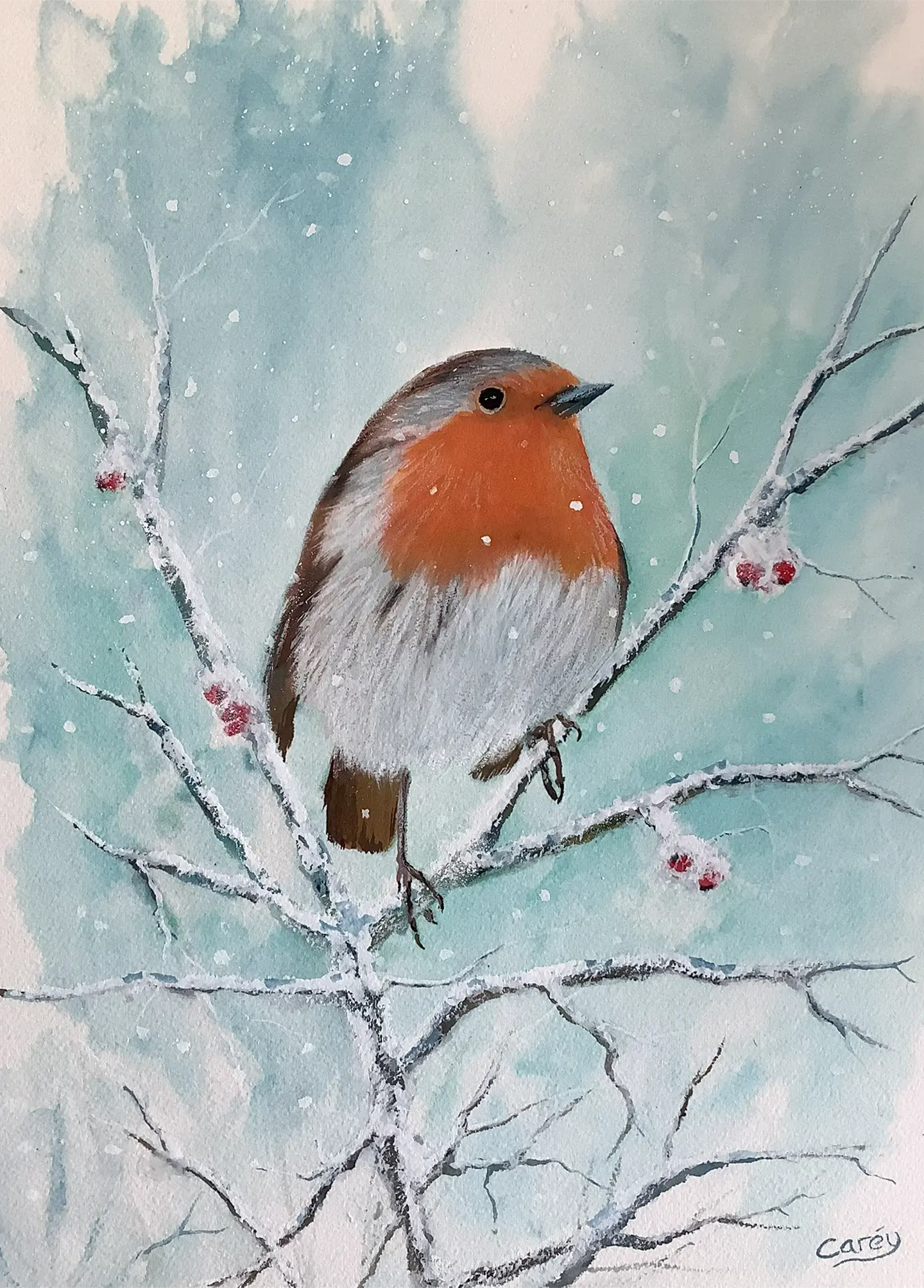 Robin in winter snow with red berries