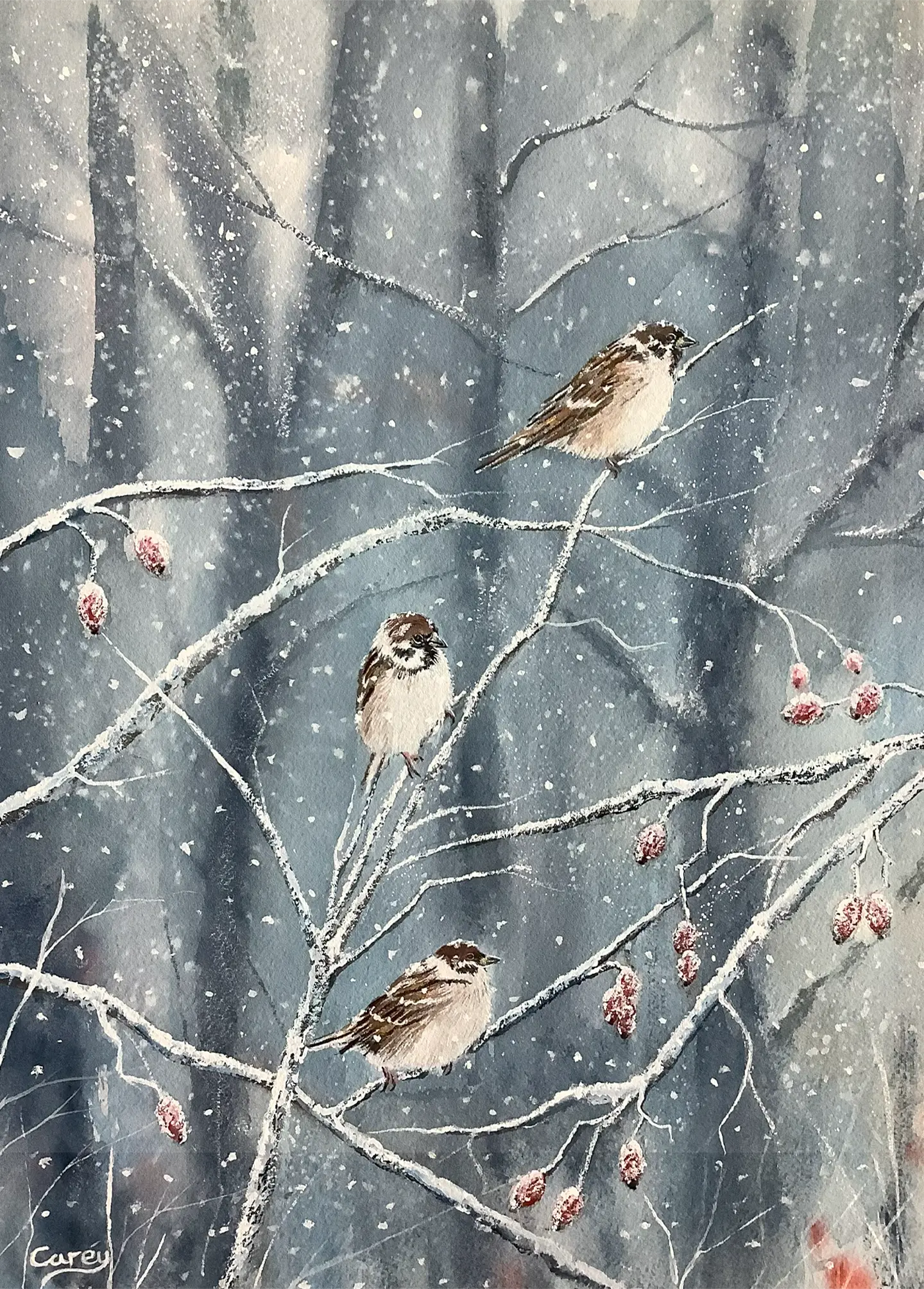 Sparrow’s in Winter